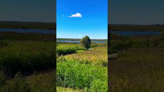 Relaxing Horicon Marsh Wildlife  Overview [upl. by Priestley]