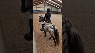 Binkie 💙🐴 dressuurwedstrijd van RSV Vorstenbosch 🥉✨️ [upl. by Terza]