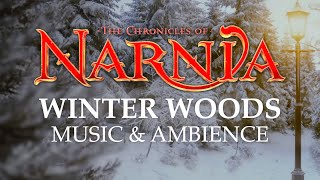 Chronicles of Narnia  Peaceful Winter Woods Music amp Ambience in 4K [upl. by Elson371]