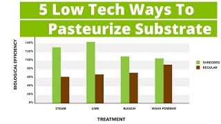 How to Pasteurise Mushroom Substrate 5 Easiest Methods [upl. by Ellienad236]