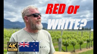 EPIC TOUR NEW ZEALAND S4E3 Wellington to South Island for wine lobster and seals [upl. by Verene271]