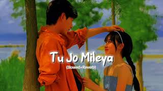 Tu Jo Mileya Slowed and Reverb Juss x Mixsingh  Tu jo mileya lofi LofiBro2006 [upl. by Nicky]