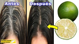 No Necesitar Tinte  Convertir Las Canas En El Pelo Negro Rápidamente Con 3 Ingredientes [upl. by Jaquenette287]