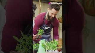 DIY Plant Microbiome The Hidden Secret to Thriving Indoor Plants [upl. by Eric]