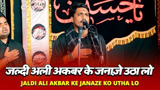 Jaldi Ali Akbar Ke Janaze Ko Utha Lo  Zohair Sultanpuri New Noha  29 Safar 2024 Hallaur [upl. by Enymzaj]