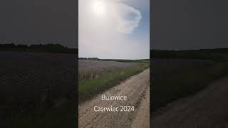 Bulowice  Czerwiec 2024 [upl. by Akir754]