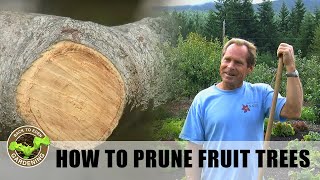 Back to Eden Gardening  How To Prune Fruit Trees for Maximum Production with Arborist Paul Gautschi [upl. by Manvell]