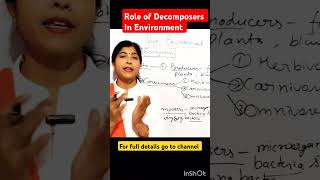 Role of decomposers in environmentdecomposersenvironmentpcbclub biologyclass10 ncert [upl. by Strait]