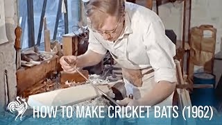 How to Make Cricket Bats Old Traditions amp Modern Methods 1962  British Pathé [upl. by Ived]