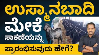 Osmanabadi Goat Farming Course in Kannada  How to Start an Osmanabadi Goat Farming [upl. by Hitoshi]