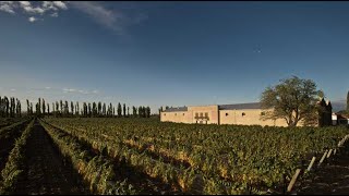 BODEGA CASARENA LUJAN DE CUYO MENDOZA [upl. by Gable]