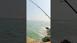 Sabiki Fishing fishing shorts youtubeshorts ytshorts [upl. by Stevenson]