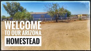 Starting Our Homestead In The Southern Arizona Desert  Our First Video gardening zone9 [upl. by Yrrehc301]