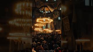 The Hagia Sophia is an iconic mosque and monument in Istanbul Turkey mosque fyp viralvideo [upl. by Aerol599]