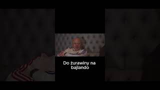 brzmi jak plan youtubeshort viralvideo shortvideo smieszne funny lewiznatv4301 [upl. by Afira419]