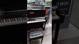 Theres always a piano in the train station [upl. by Enneles]