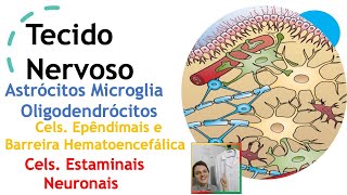 Tecido Nervoso  Neuroglia  Barreira hematoencefálica e Células estaminais neurais Aula 47 [upl. by Arimahs787]