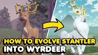 How To Evolve Stantler Into Wyrdeer In Pokemon Legends Arceus [upl. by Mahalia]