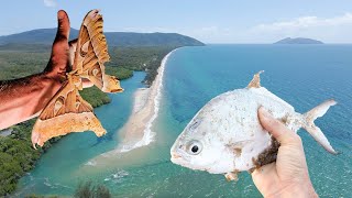 Fishing the Cairns MEGA tides [upl. by Sergius]