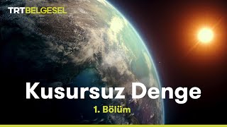 Kusursuz Denge  Dünya  TRT Belgesel [upl. by Kegan]