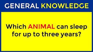 How Good Is Your General Knowledge Take This 30question Quiz To Find Out challenge 1 [upl. by Haneehs391]