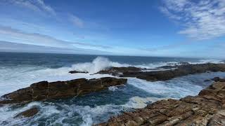 Waterfall Trail 6 Km 130 Minutes Tsitsikamma National Reserve Garden Route  South Africa [upl. by Oppen]