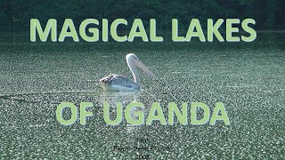 Magical lakes of Uganda [upl. by Berlin]