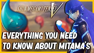 Complete Mitama Guide For Shin Megami Tensei V Weaknesses Drops How To find them amp More [upl. by Comras888]