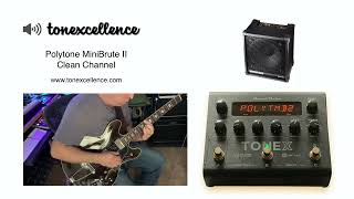 Tonexcellence  ToneX Presets  POLYTONE MINI BRUTE II JAZZ GUITAR AMPLIFIER [upl. by Eronel]