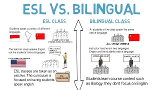 ESL vs Bilingual Classes [upl. by Nolyat575]