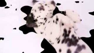 102 Dalmatians Official Teaser Trailer 2 [upl. by Avaria]