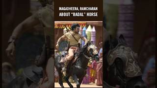 Magadheera RamCharan About “BADAL” Horse 🐎 ramcharan magadheera ssrajamouli [upl. by Atirrehs643]