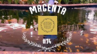 🌽 Magenta  🌿 Captivating Melodies Romantic Tunes Collection 🌿 74 [upl. by Kaliope]