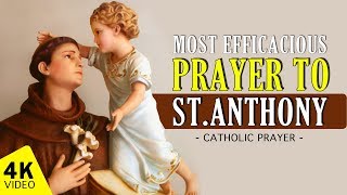 St Anthony of Padua Novena Day 8 [upl. by Poirer]