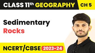 Sedimentary Rocks  Minerals And Rocks  Class 11 Geography [upl. by Llewsor]