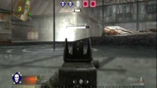 Call of Duty World at War  Flawless Victory Thompson [upl. by Ymij]