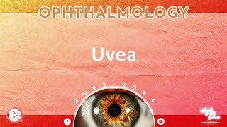 Ch Uveal tract disorders 3 ophthalmology [upl. by Pump]