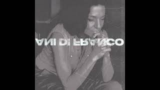 Ani DiFranco  Unprecedented Sht Official Audio [upl. by Cahilly]