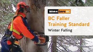 BC Faller Training Standard  Winter Falling 14 of 17 [upl. by Rennat]