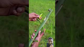 Bamboo creation with new bamboo idea diy hunting tools bushcraft bambooart [upl. by Eachern]