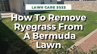 How To Remove RyeGrass From A Bermuda Lawn [upl. by Atews]