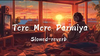 Tere Mere Darmiya slowedreverb lofi music [upl. by Kcarb343]