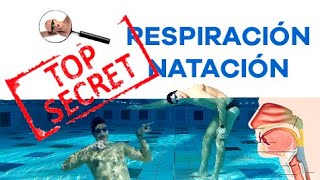 Respiracion en natación ¡El SECRETO que nadie te cuenta [upl. by Hurwit812]