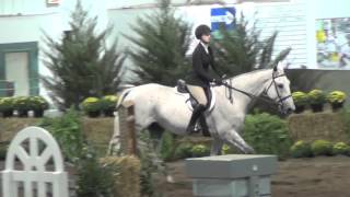 My Road to the Maclay [upl. by Branca]