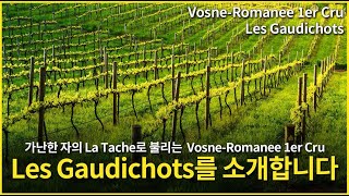 Engsub Vosne Romanee 1er Cru Les Gaudichots [upl. by Leba]