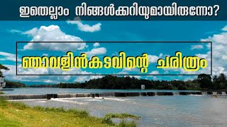 ഞാവളിൻകടവിനെക്കുറിച്ച് അറിയേണ്ടതെല്ലാം [upl. by Athene]