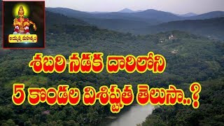 Specialties of 5 Hills in Shabarimalamala Foot Way  Shabari Mala Story  M6tv [upl. by Thursby]