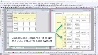 How to compute EC50 C50 in Dose Response fitting [upl. by Nailimixam]