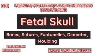 Fetal Skull  Bones Fontanelles Suture Diameter amp Moulding  Hindi [upl. by Leilamag40]