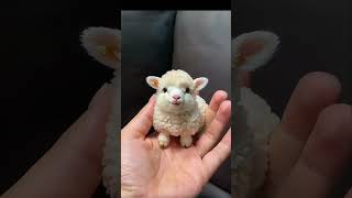 Baby 😱 Ram 🐏 Man hand trendingshorts trendingshorts2024 ram [upl. by Emya]